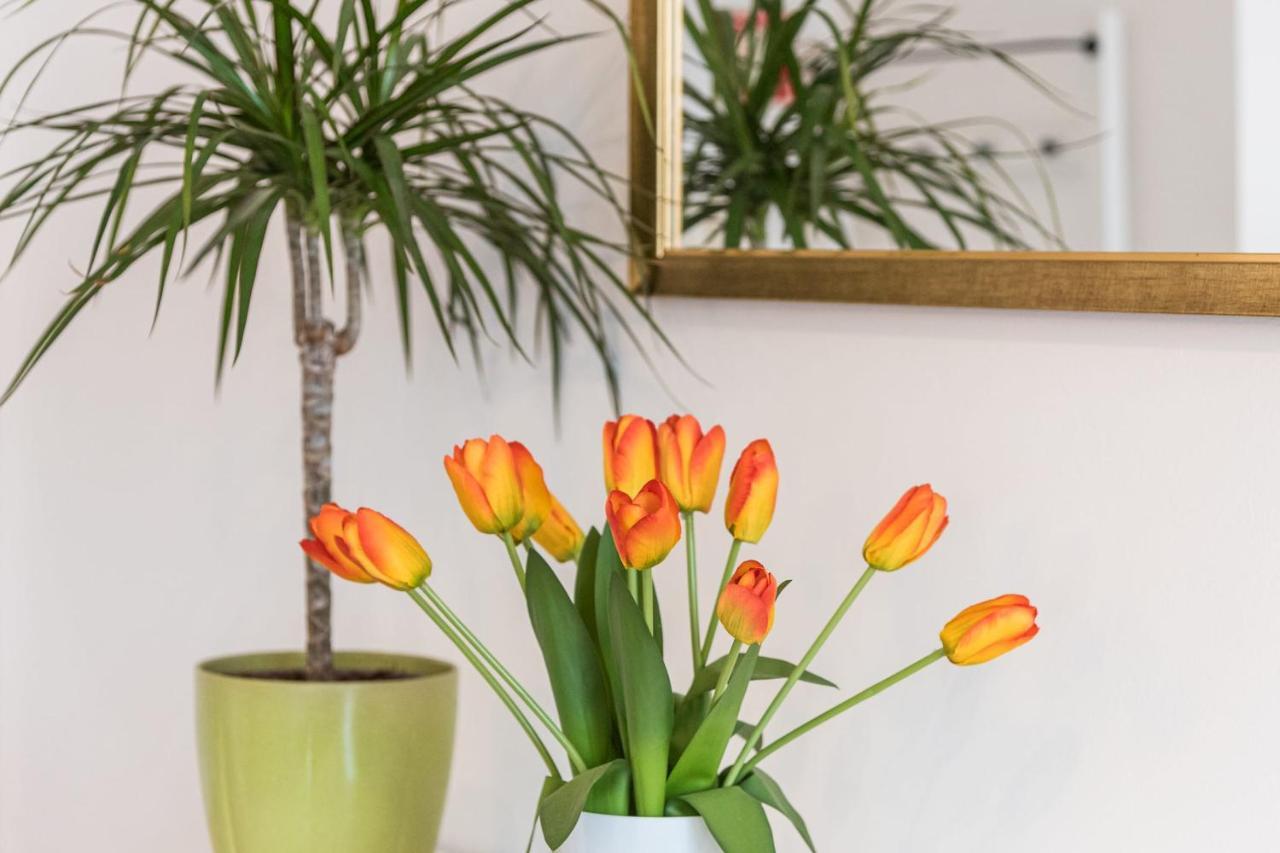Guestready - The New Made In Apartment *